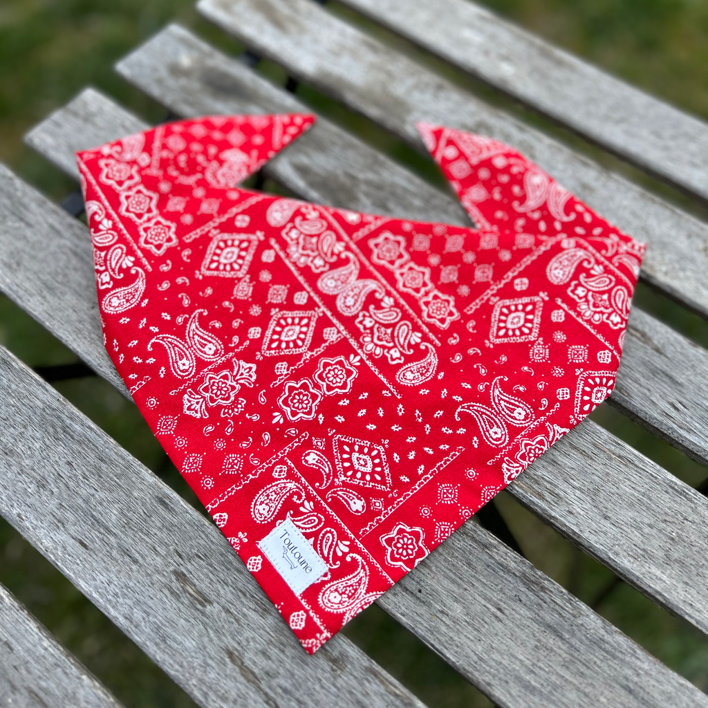 Bandana Paisley
