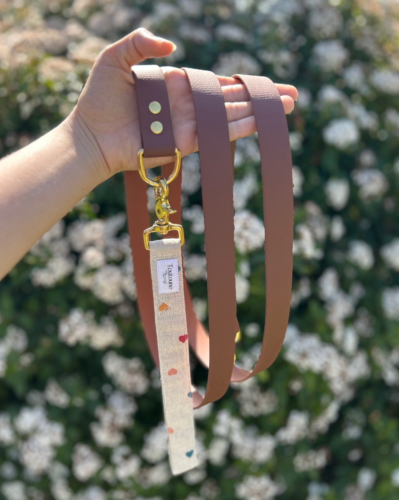 Laisse Biothane poignée interchangeable Loveur Marron