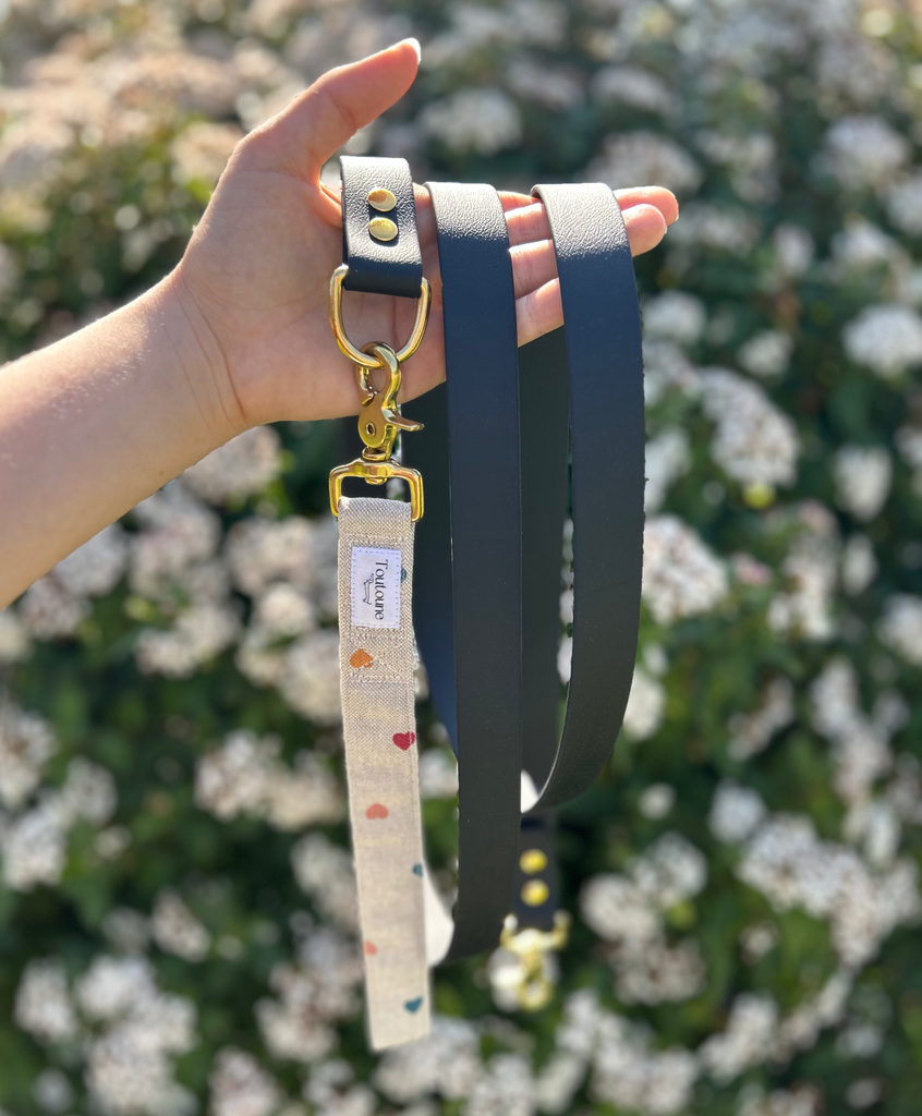 Laisse Biothane poignée interchangeable Loveur Noir