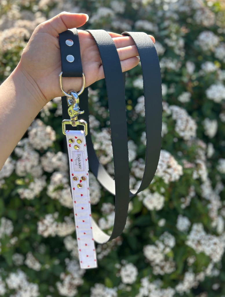 Laisse Biothane poignée interchangeable Valentin Noir