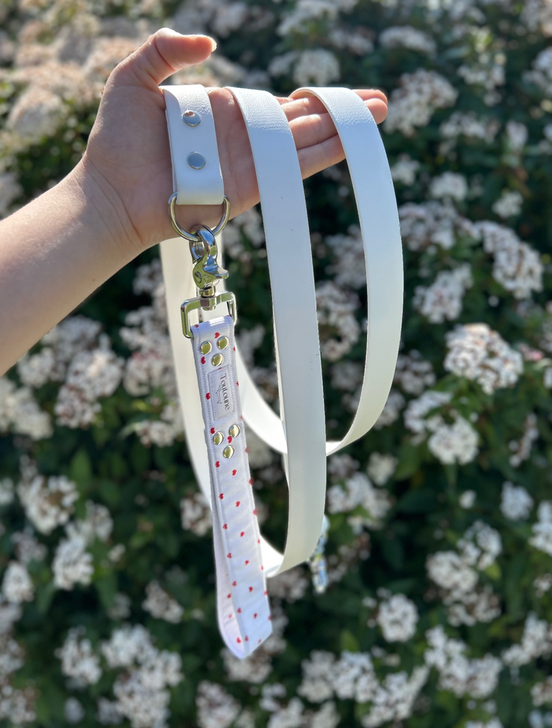 Laisse Biothane poignée interchangeable Valentin Blanc