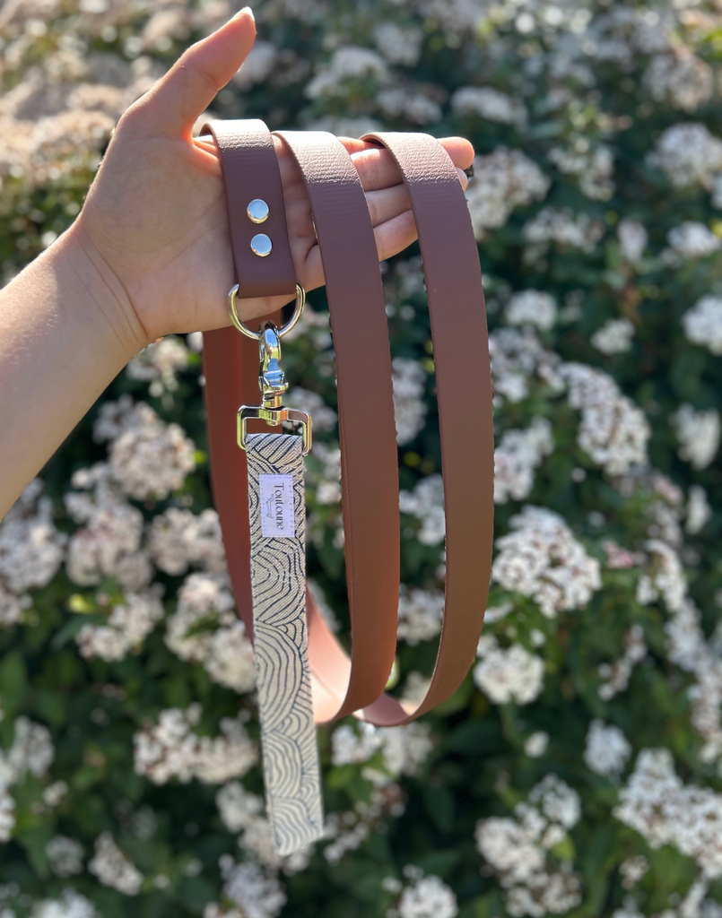 Laisse Biothane poignée interchangeable Montpellier Marron