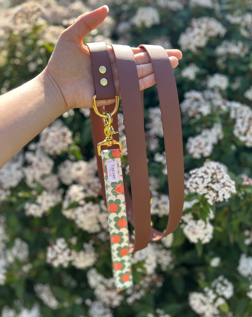 Laisse Biothane poignée interchangeable Seventies Marron