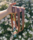Laisse Biothane poignée interchangeable Rio Marron