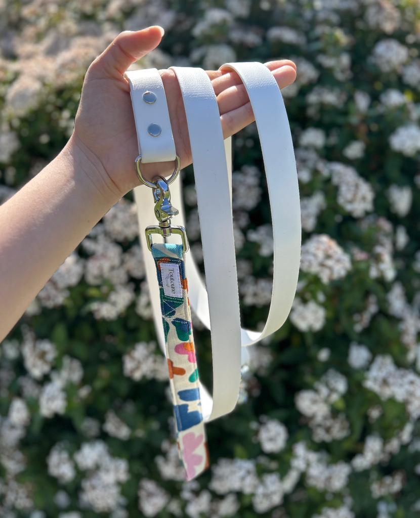 Laisse Biothane poignée interchangeable Rio Blanc