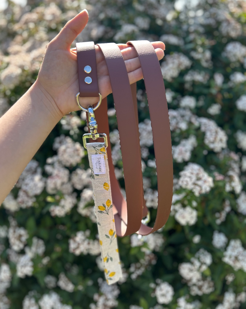 Laisse Biothane poignée interchangeable Sorrento Marron