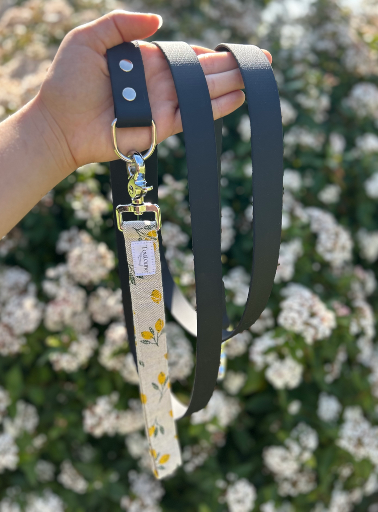 Laisse Biothane poignée interchangeable Sorrento Noir