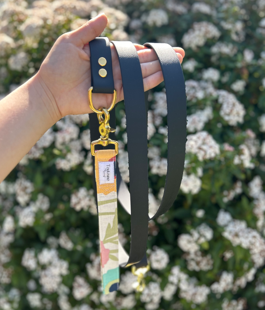 Laisse Biothane poignée interchangeable Spring Noir