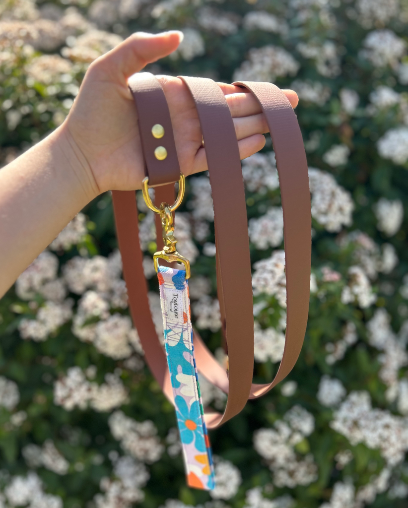 Laisse Biothane poignée interchangeable Gipsy Marron