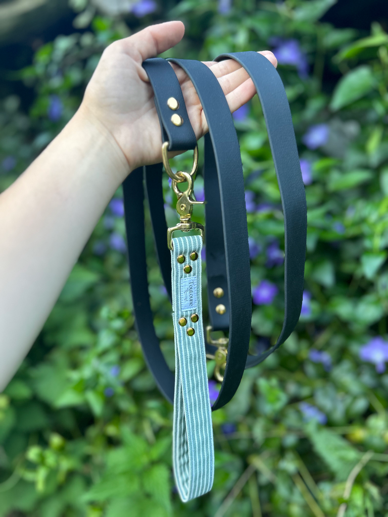 Laisse Biothane poignée interchangeable Rayé vert Noir