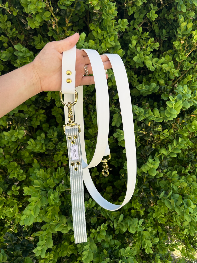 Laisse Biothane poignée interchangeable Rayé Vert Blanc