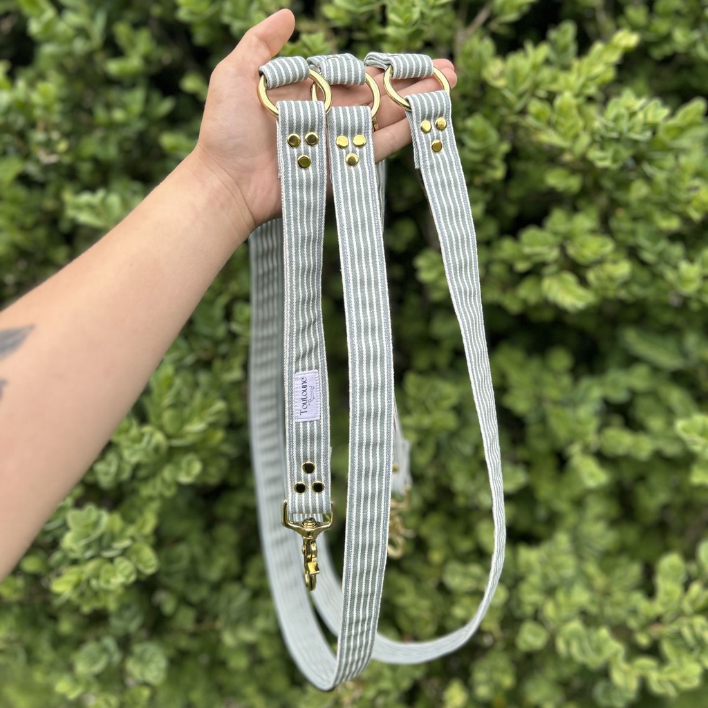 Laisse Multiposition Rayé Vert 