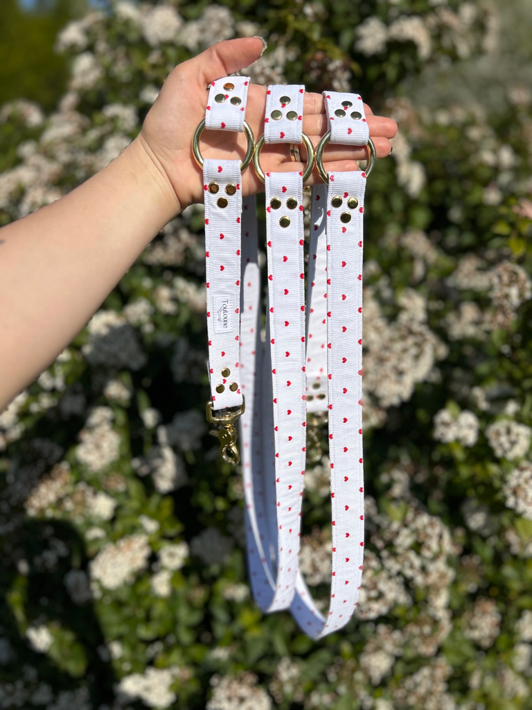 Laisse multiposition Valentin 