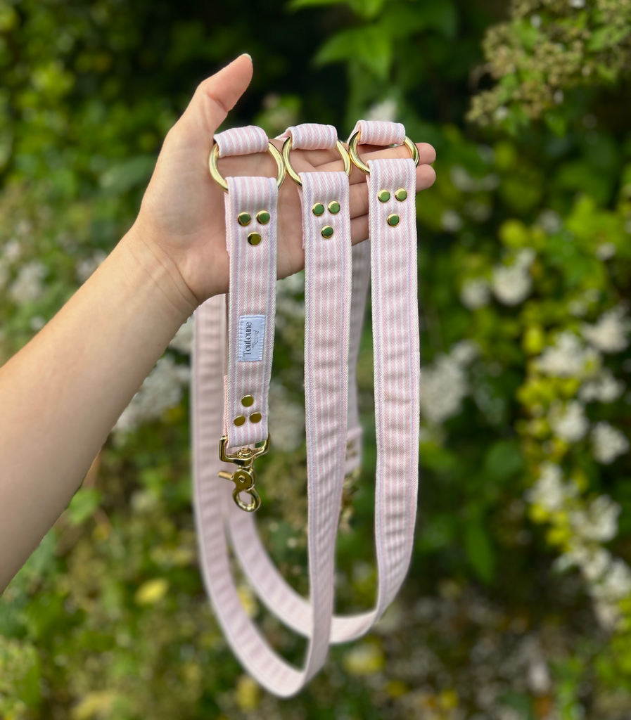 Laisse Multiposition Pivoine