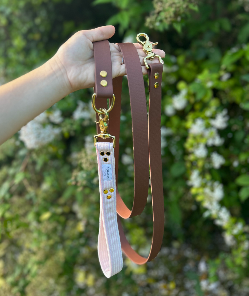 Laisse Biothane poignée interchangeable Pivoine Marron 