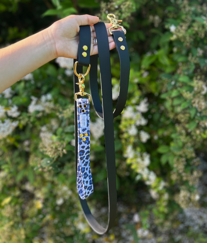 Laisse Biothane poignée interchangeable Minuit Noir