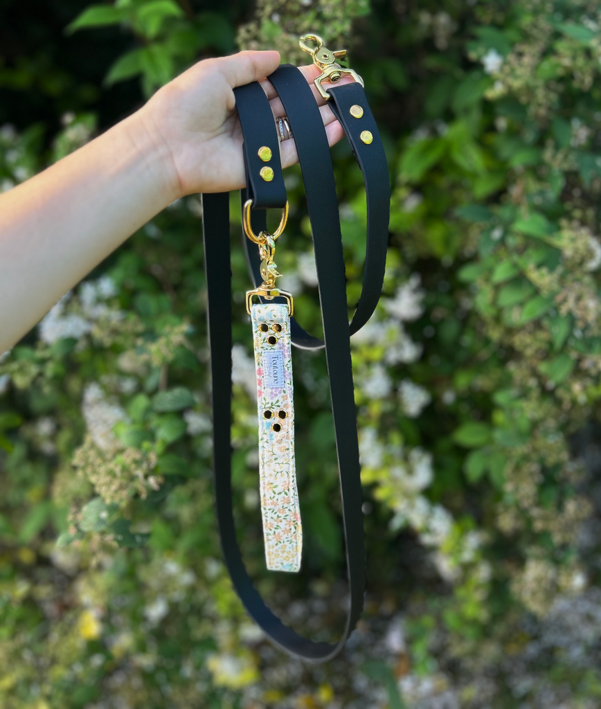 Laisse Biothane poignée interchangeable Eden Noir