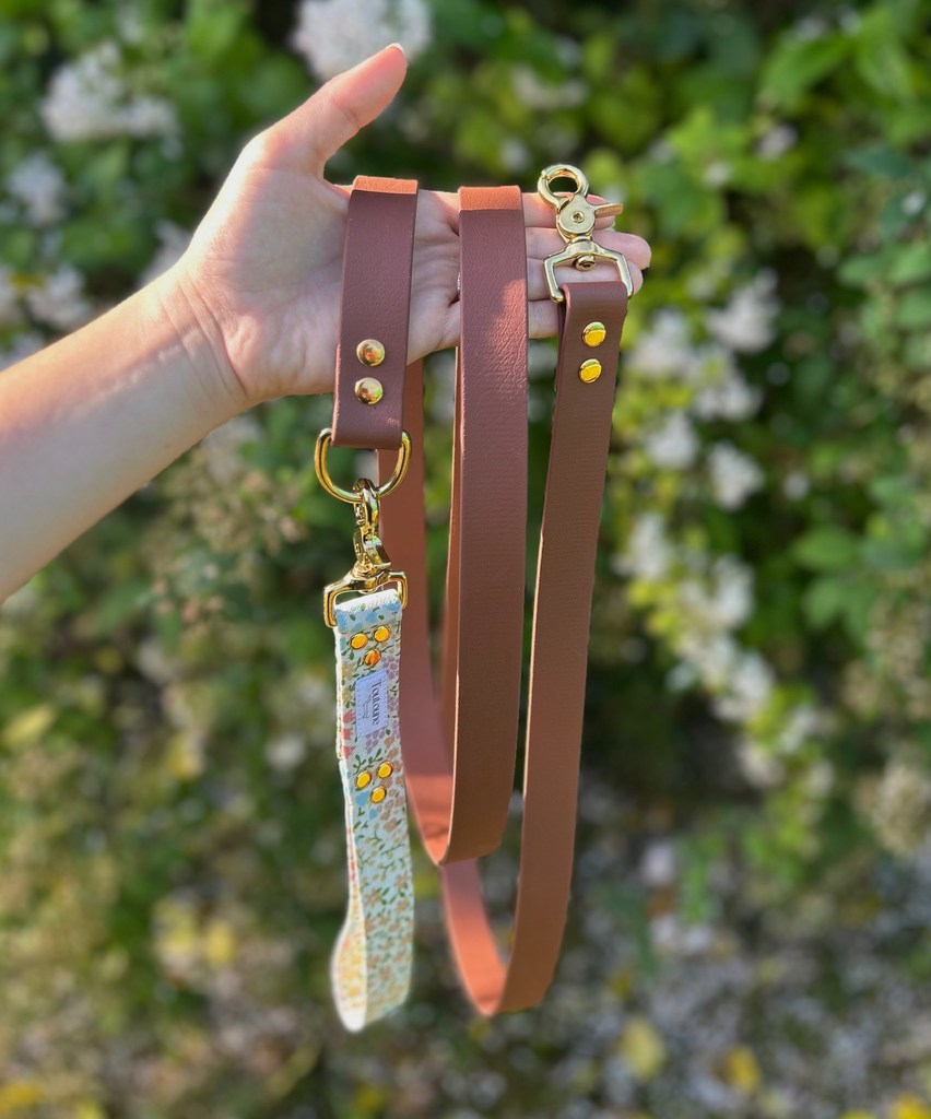 Laisse Biothane poignée interchangeable Eden Marron