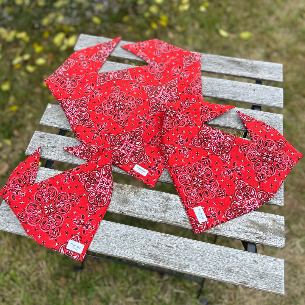Bandana Red