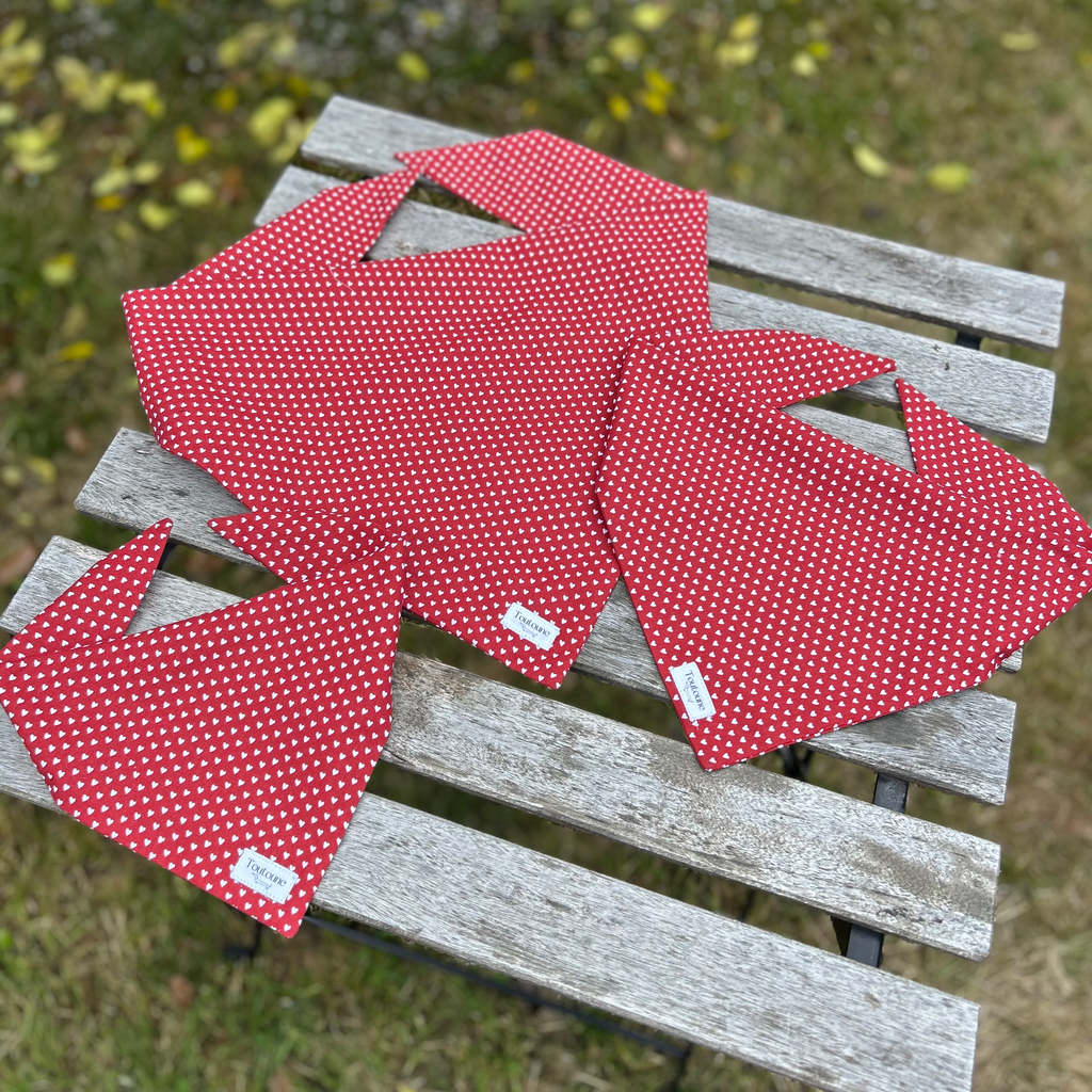 Bandana Mini coeur 