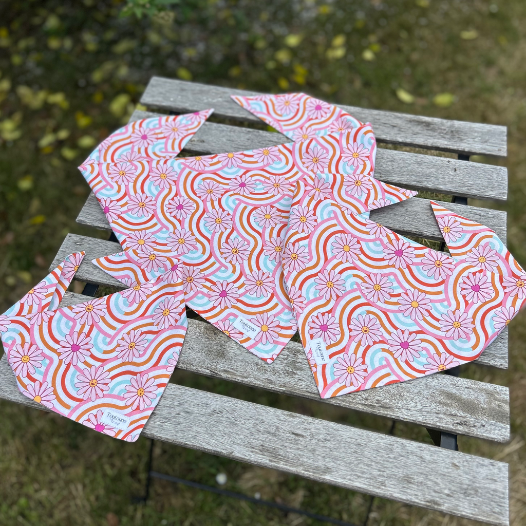 Bandana Paquerettes