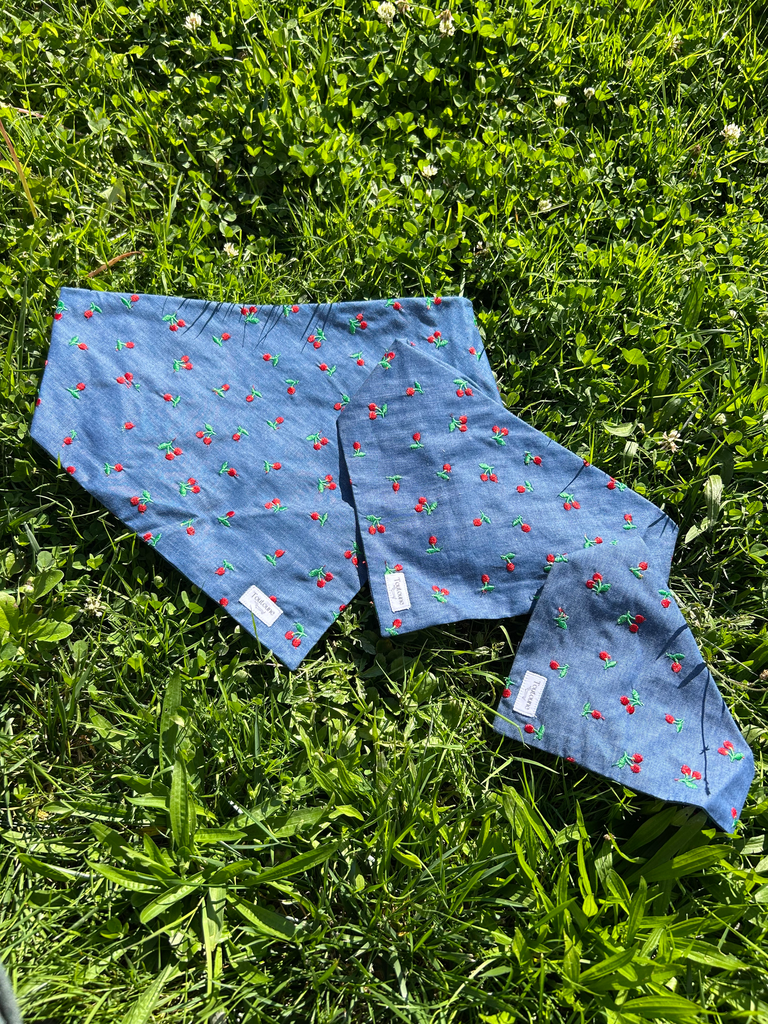 Bandana cerises 