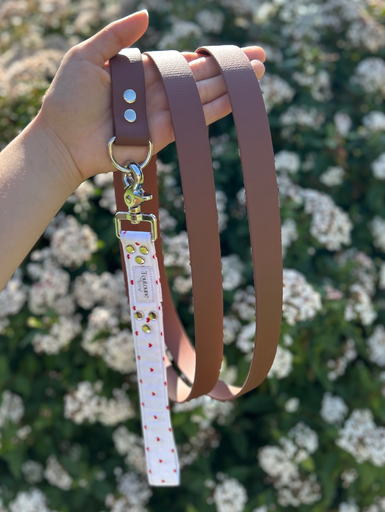 Laisse Biothane poignée interchangeable Valentin Marron