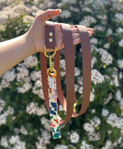 Laisse Biothane poignée interchangeable Rio Marron