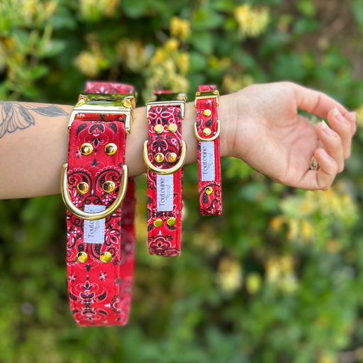 Collier Red 