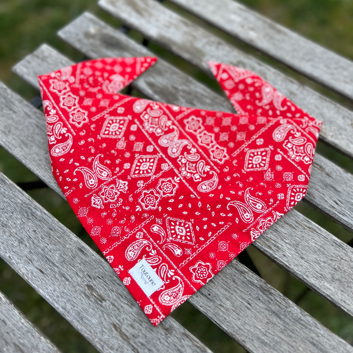 Bandana Paisley